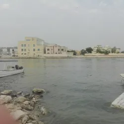 Tubli Bay Mangrove Reserve - Tubli