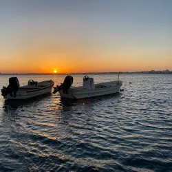 Tubli Bay Mangrove Reserve - Tubli