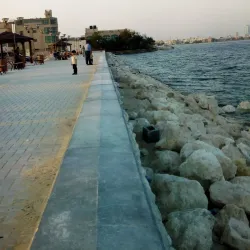 Tubli Bay Mangrove Reserve - Tubli