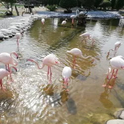 Al Areen Wildlife Park & Reserve - Zinj