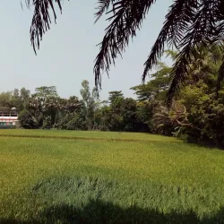 Begamganj Jame Mosque - Begamganj