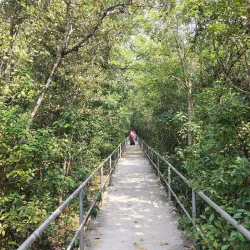 Nearby Eco-Tourism Sites - Begamganj