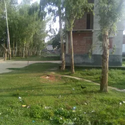 Karatoa River - Bogra