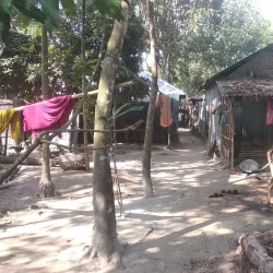 Karatoa River - Bogra