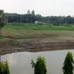 Karatoa River - Bogra