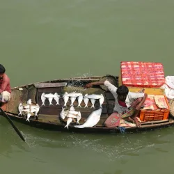 Chandpur Boat Terminal - Chandpur