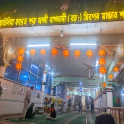 Hazrat Shah Sultan Ali Mosque - Chandpur