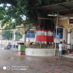 Hazrat Shah Sultan Ali Mosque - Chandpur