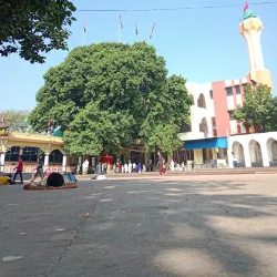 Hazrat Shah Sultan Ali Mosque - Chandpur
