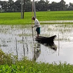 Kachua Upazila - Chandpur