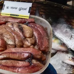 Local Markets of Chandpur - Chandpur