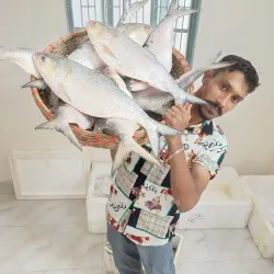 Local Markets of Chandpur - Chandpur