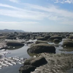 Inani Beach - Cox's Bazar