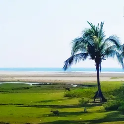 Marine Drive - Cox's Bazar