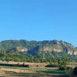 Teknaf Wildlife Sanctuary - Cox's Bazar