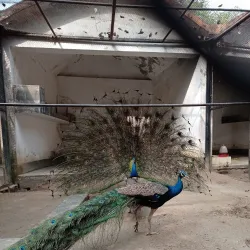 Bangladesh National Zoo - Dhaka