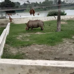 Bangladesh National Zoo - Dhaka