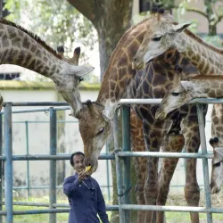 Bangladesh National Zoo - Dhaka