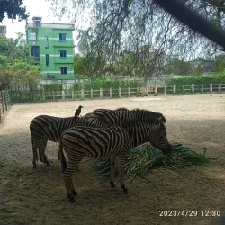 Bangladesh National Zoo - Dhaka