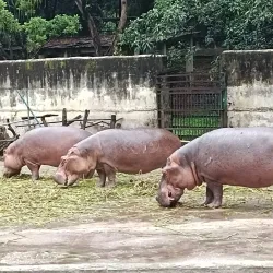Bangladesh National Zoo - Dhaka