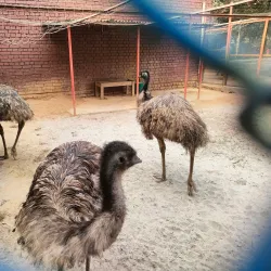 Bangladesh National Zoo - Dhaka