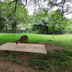 Bangladesh National Zoo - Dhaka
