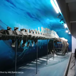 National Museum of Bangladesh - Dhaka