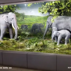 National Museum of Bangladesh - Dhaka