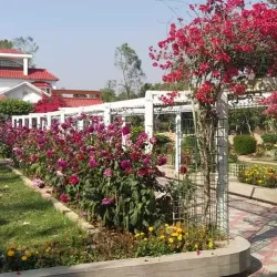 Chhagalnaiya Upazila - Feni