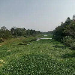 Daganbhuiyan Upazila - Feni