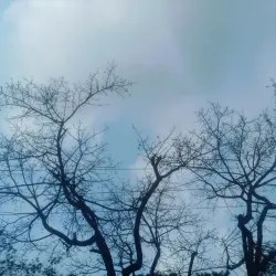 Feni District Museum - Feni