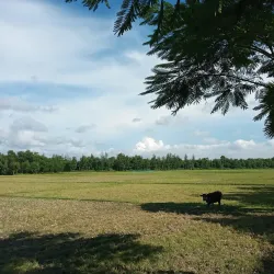 Fulgazi Upazila - Feni