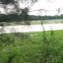 Fulgazi Upazila - Feni