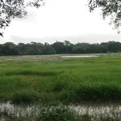 Fulgazi Upazila - Feni