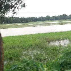 Fulgazi Upazila - Feni