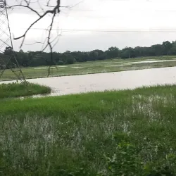 Fulgazi Upazila - Feni