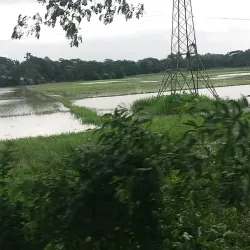 Fulgazi Upazila - Feni