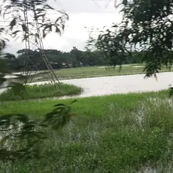 Fulgazi Upazila - Feni