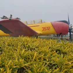 Jessore Museum - Jessore