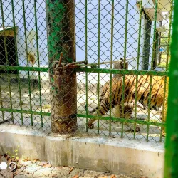 Khulna Zoo - Khulna