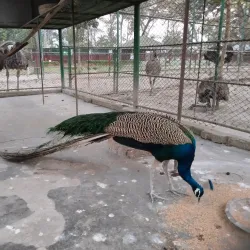 Khulna Zoo - Khulna
