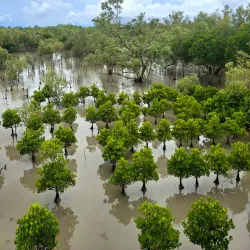 Shyamnagar Sundarbans Eco-tourism Spot - Khulna