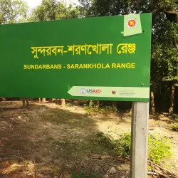 Sundarbans Mangrove Forest - Khulna