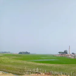 Char Bhairab Village - Madaripur