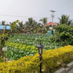 Madaripur Cultural Center - Madaripur