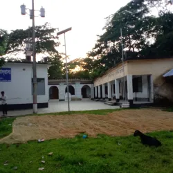 Madaripur District Mosque - Madaripur
