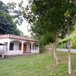 Madaripur District Mosque - Madaripur
