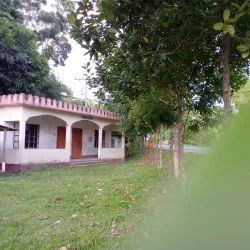 Madaripur District Mosque - Madaripur
