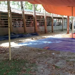 Madaripur District Mosque - Madaripur