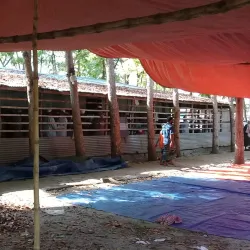 Madaripur District Mosque - Madaripur